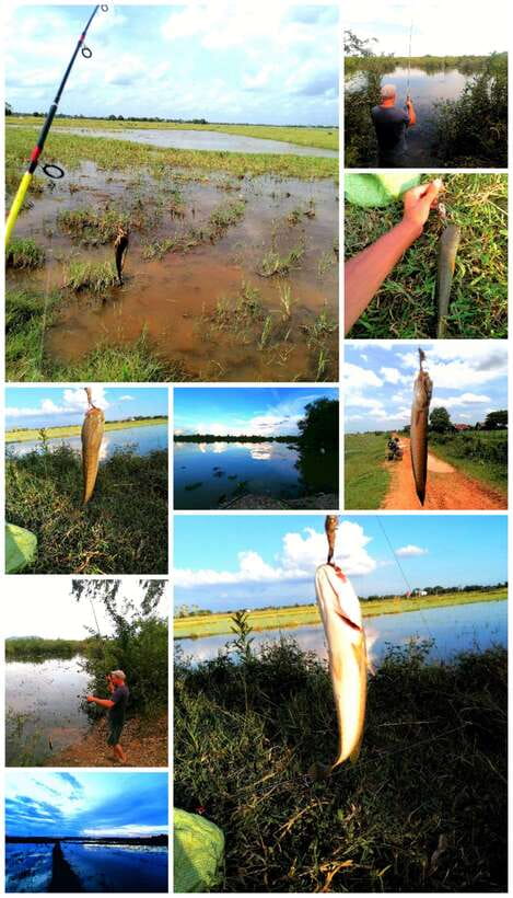 Siem Reap: Fishing in the rice fields, in the villages of Siem Reap - Key points before you book