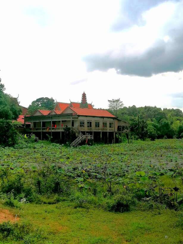 Siem Reap: Fishing in the rice fields, in the villages of Siem Reap - A local market before the fishing starts