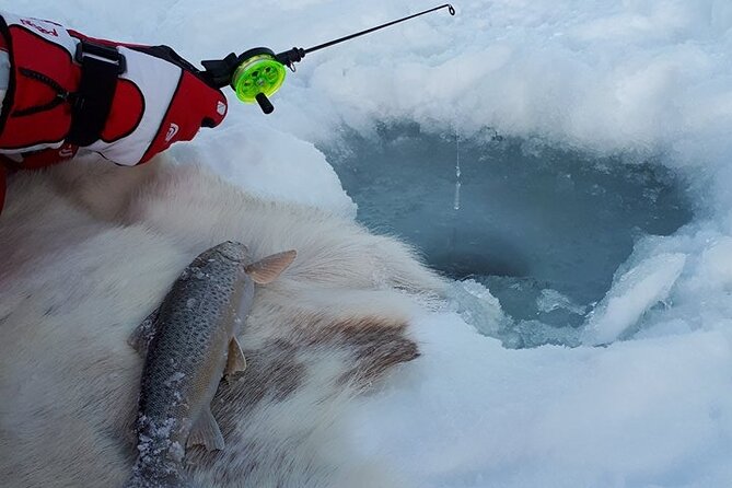 Sjursnes Arctic Ice Fishing Adventure from Tromso - Arriving at the frozen lake
