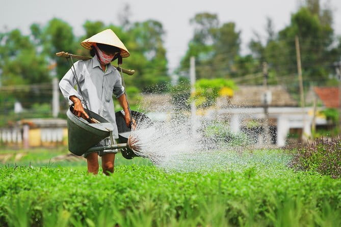 Small Group Bicycle Tour with Farming and Fishing Experience - Should you book it?