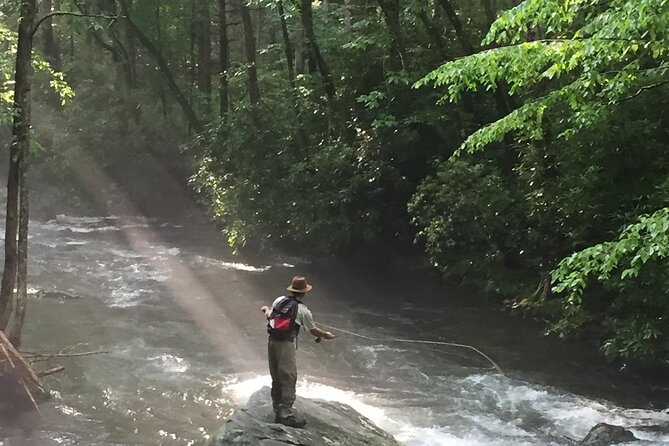 Smoky Mountains National Park Half Day Fly Fishing - Key points to know before booking