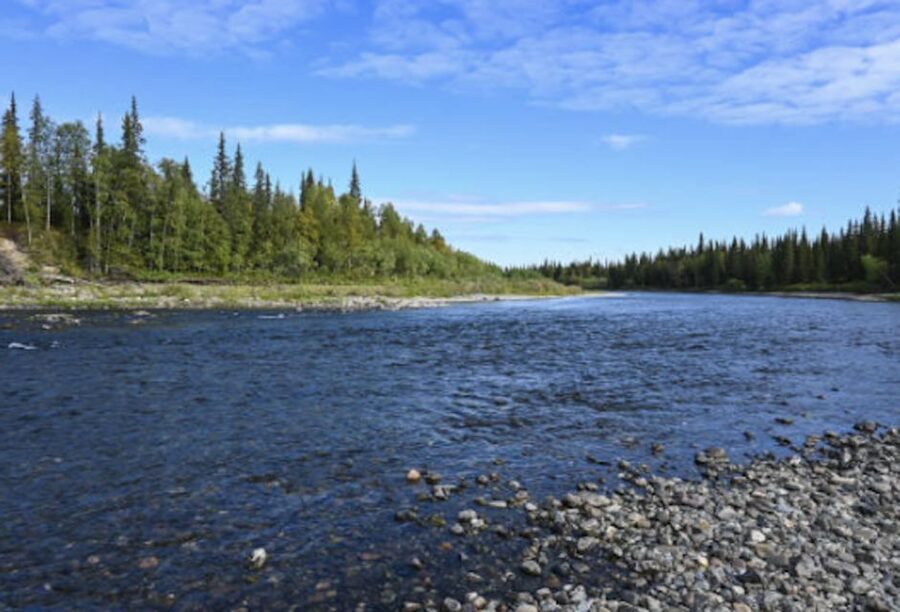 Snake River Full–Day Group Fishing Trip - Key points at a glance