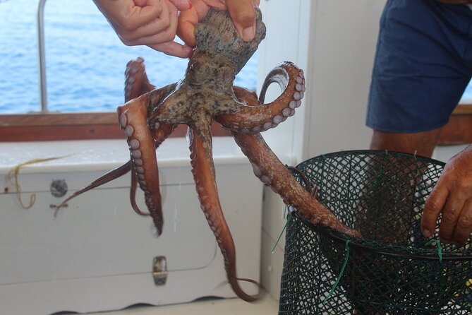 Snorkeling and Diving in the Gulf of Tavolara with Fishing - Leaving San Teodoro at 9 a.m.