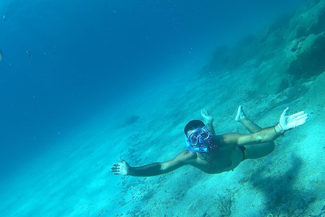 Snorkeling and Diving in the Gulf of Tavolara with Fishing - Lunch aboard Orsa Maggiore