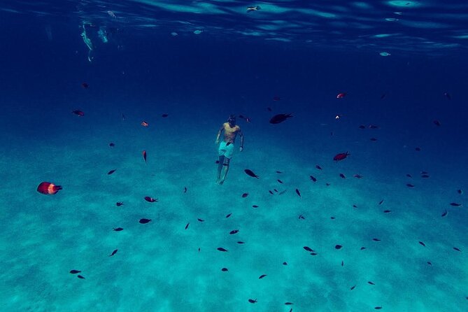 Snorkeling and Diving in the Gulf of Tavolara with Fishing - Weather and changing stops