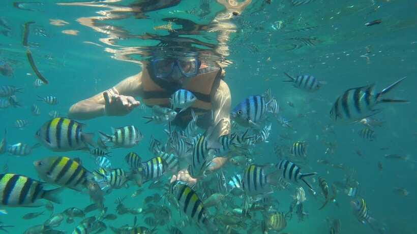 Snorkeling Kayaking Fishing Swimming Activities - What the $43 price includes