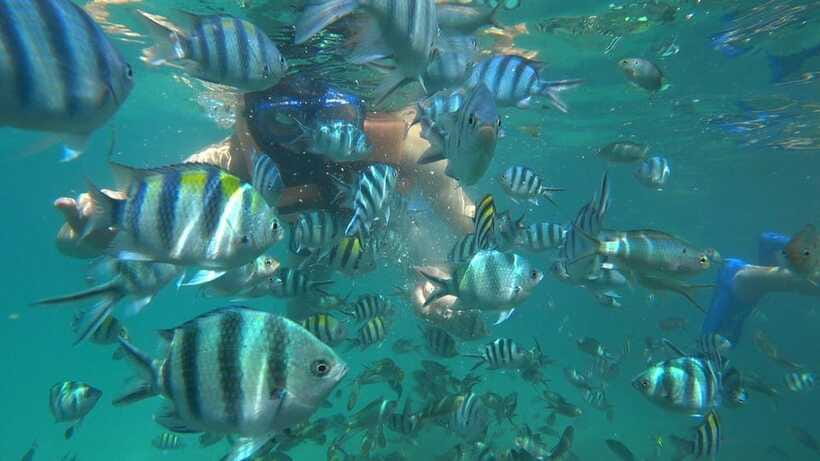 Snorkeling Kayaking Fishing Swimming Activities - Practical advice for making the day better