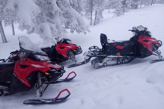 Snowmobile and Ice Fishing Excursion (private tour) - One hour across the frozen river
