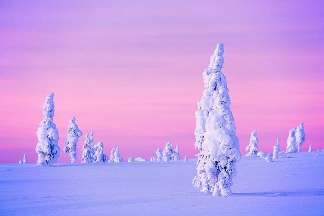 Snowmobile and Ice Fishing Experience - Guides, safety, and the human side of the outing