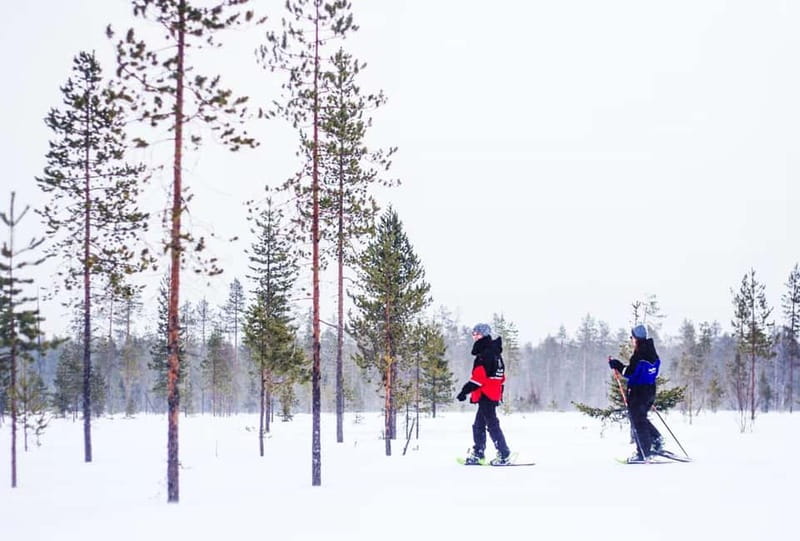 Snowshoe Trip for Ice Fishing in Saariselka - Leaving Saariselka for the snowy forest