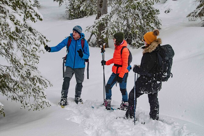 Snowshoeing Adventure with Ice-Fishing, Fire and Survival - Fire-making, forest materials, and Arctic know-how