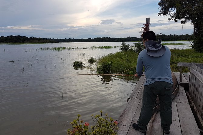Solimoes River Piranha Fishing and Alligator Watching Tour - Language, comfort, and the practical side