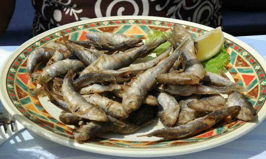 Sorrento: Sea-Fishing Tour with Lunch Onboard - Swimming and snorkeling in clear water