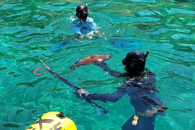 Spearfishing in Chania, Crete (price is per group) - Key points to know before booking
