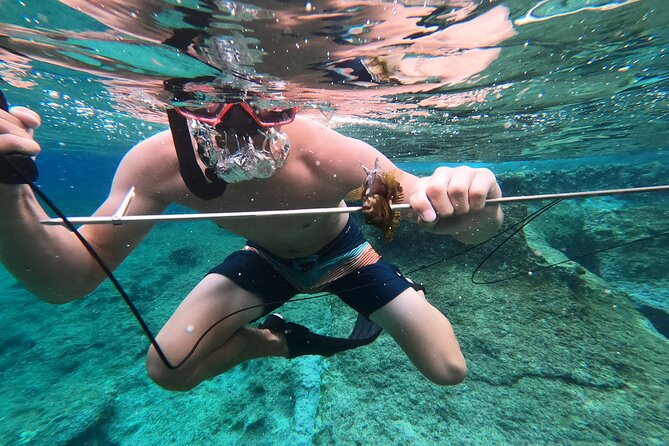 Spearfishing in Chania, Crete (price is per group) - A private six-hour plan on the Cretan coast