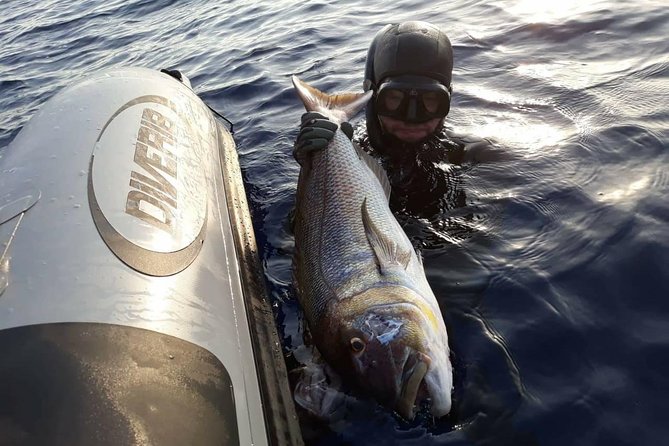 Spearfishing in Chania, Crete (price is per group) - The best part for first-time participants