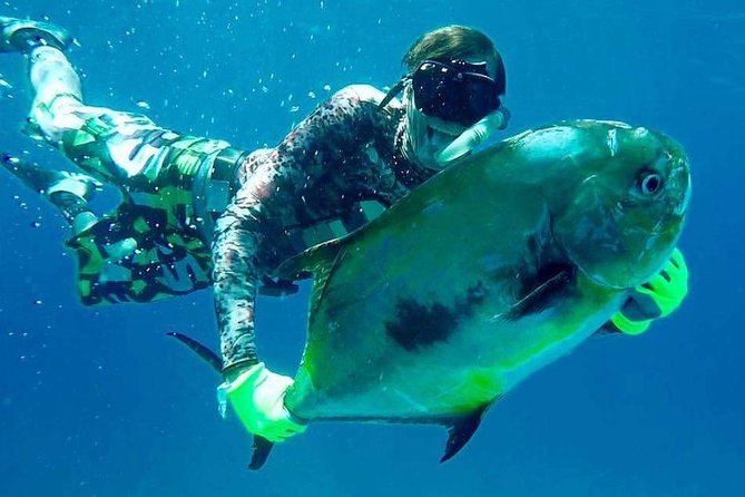 Spearfishing Playa del Carmen or Tulum - Starting at 8:00 am in Tulum