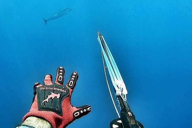 Spearfishing Playa del Carmen or Tulum - Gear can make or break the morning