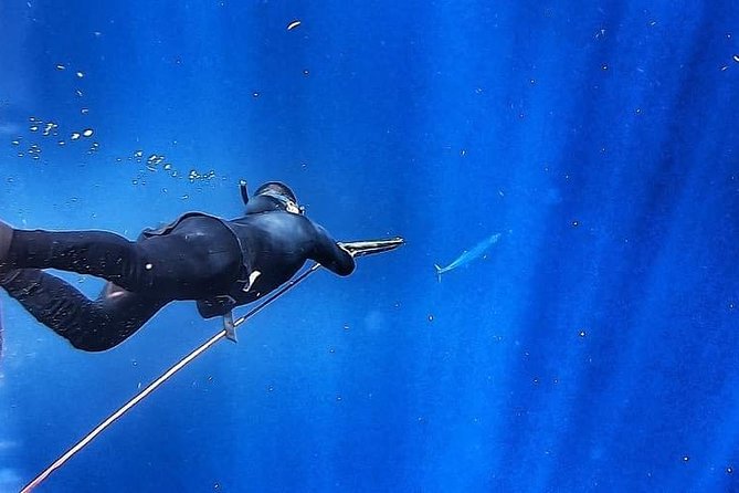 Spearfishing Playa del Carmen or Tulum - Visibility, fish, and the luck of the sea