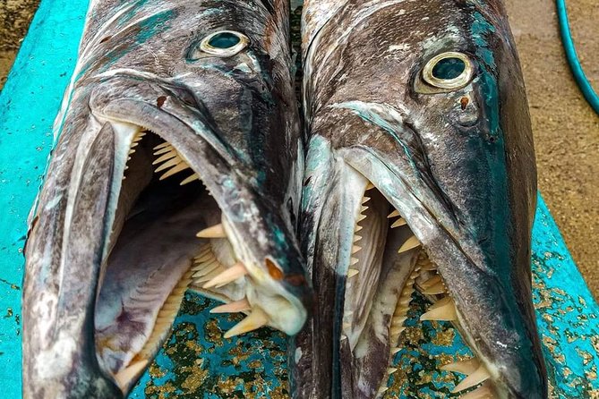 Spearfishing Playa del Carmen or Tulum - The boat and the practical risks