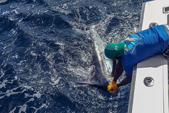 St Lucia Sport Fishing Tour - Drinks are included, but lunch is not