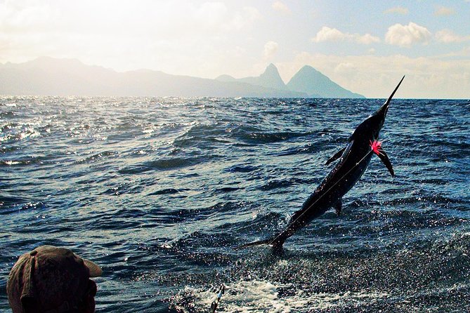 St Lucia Sport Fishing Tour - What the Bertram boat adds