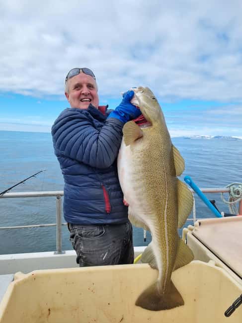Stykkishólmur: Sea Angling Tour with Local Guide - Key points to know before booking