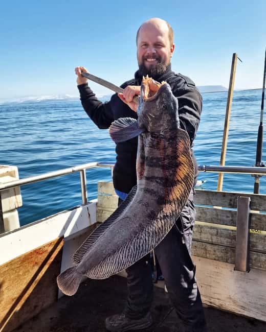Stykkishólmur: Sea Angling Tour with Local Guide - What the three-hour schedule feels like