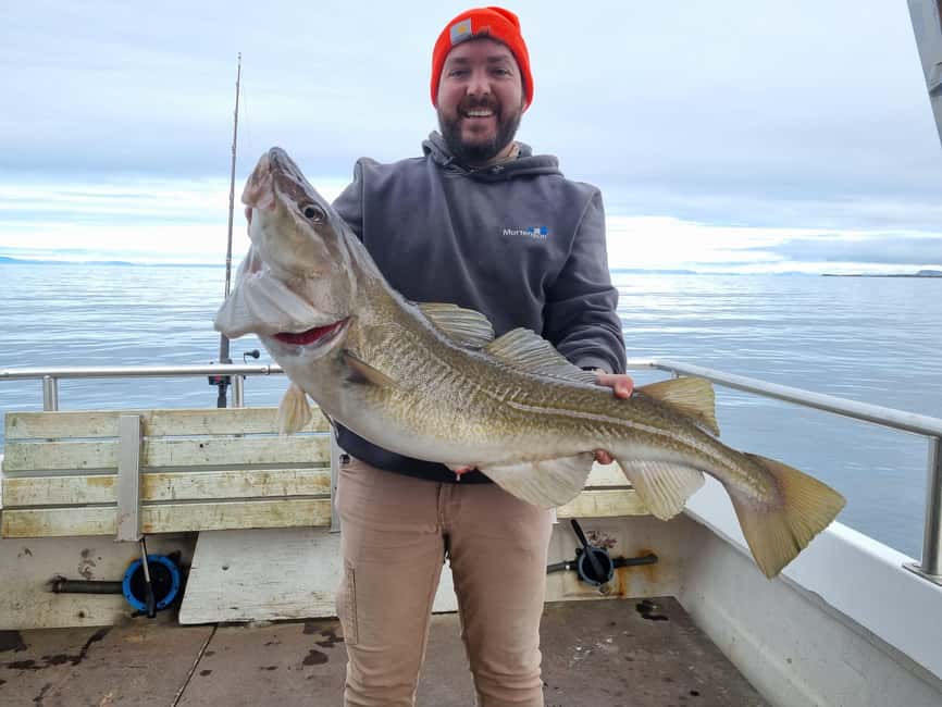 Stykkishólmur: Sea Angling Tour with Local Guide - A family-run operation with personal service