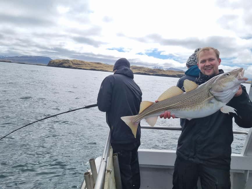 Stykkishólmur: Sea Angling Tour with Local Guide - Is $203 a fair price?