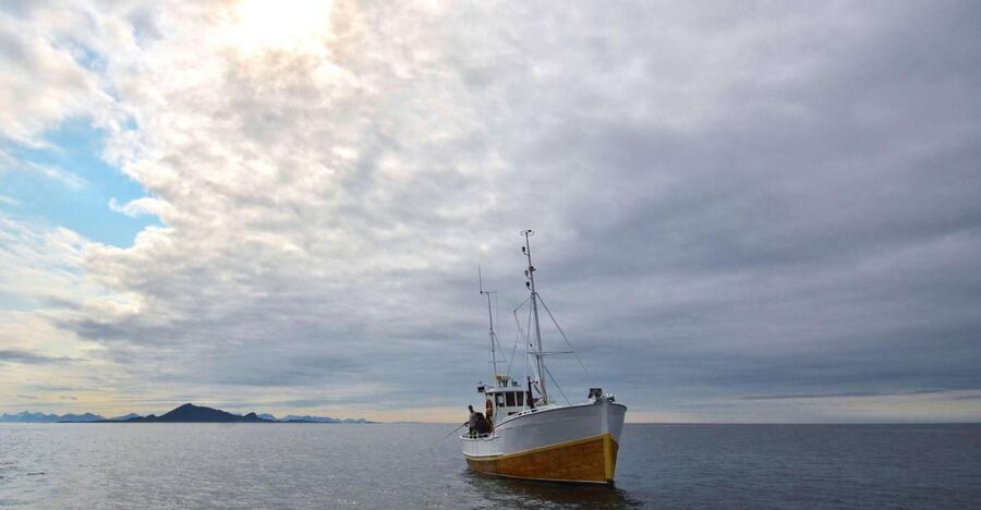 Svolvær: Fishing Trip on the Lofoten Sea - Key points at a glance