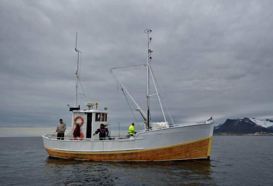 Svolvær: Fishing Trip on the Lofoten Sea - Meeting the boat in central Svolvær