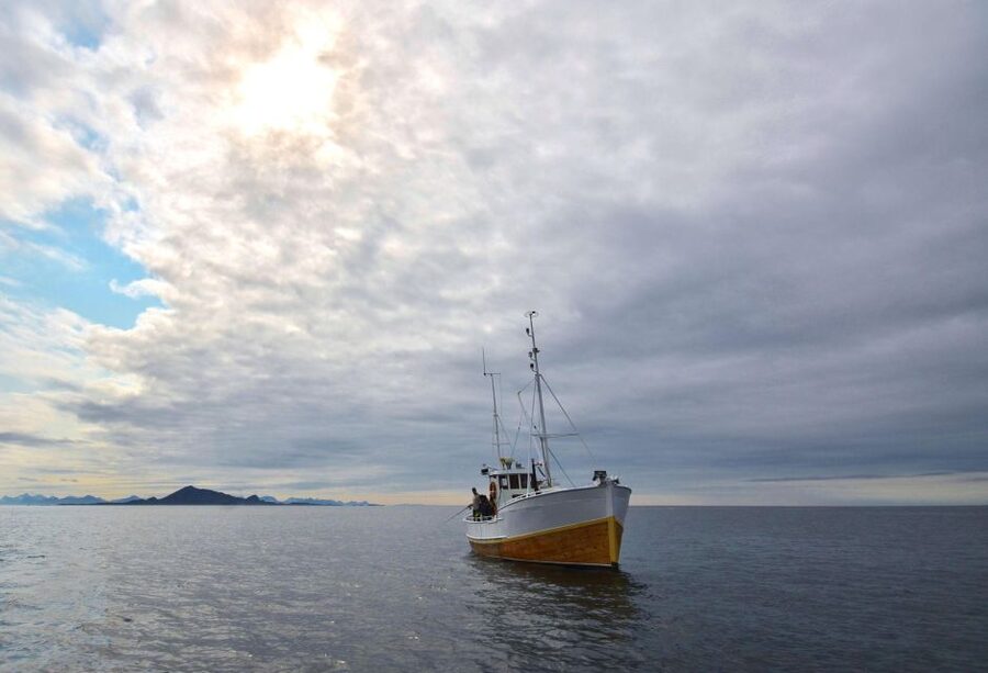 Svolvær: Fishing Trip on the Lofoten Sea - What the catch means for dinner