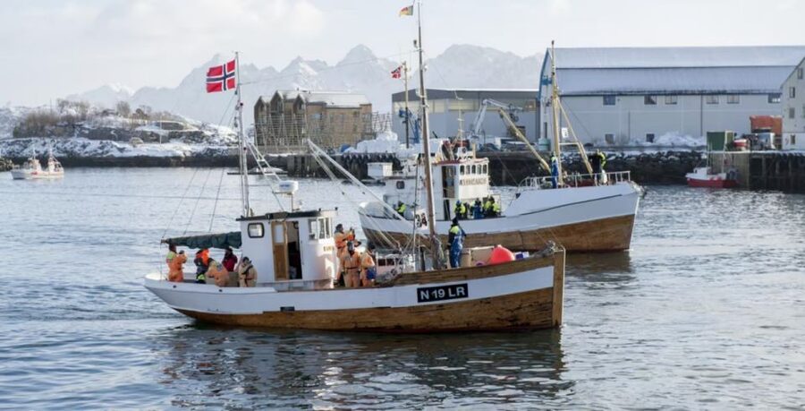 Svolvær: Fishing Trip on the Lofoten Sea - Fishing aboard MS Luna