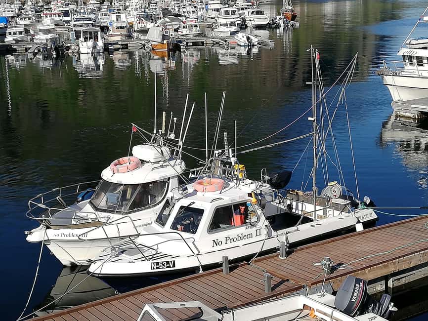 Svolvaer: Fishing Trips with a personal touch - Why this Svolvær fishing trip feels personal