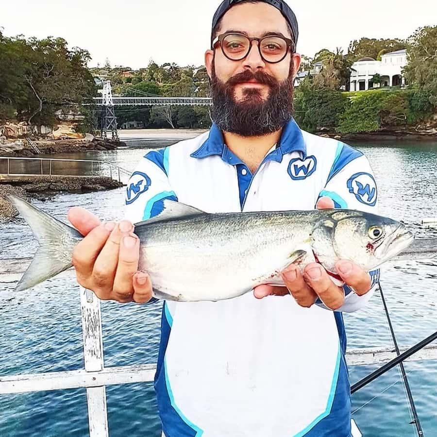 Sydney: Onshore Fishing Experience with Equipment - What the three-hour Sydney fishing session is really like