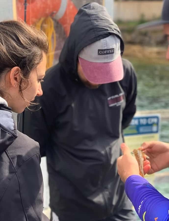 Sydney: Onshore Fishing Experience with Equipment - The difference between fishing and sightseeing
