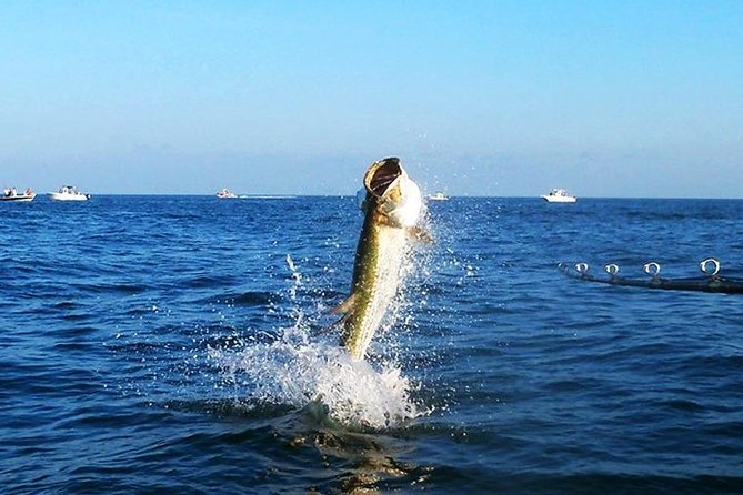 Tampa Bay Inshore Fishing Charters - Passage Key Inlet during tarpon season