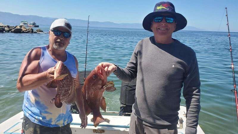 The best sport fishing - Key points before you book