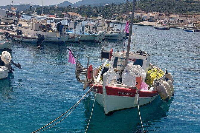 Traditional Fishing Experience in Zakynthos - Who will enjoy this Zakynthos fishing trip?