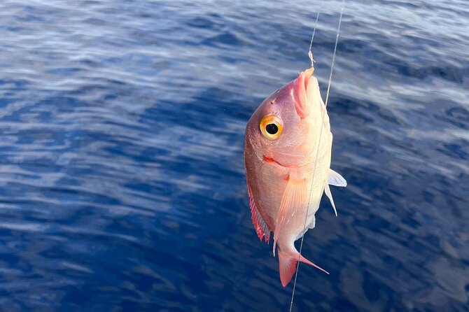 Traditional Fishing Experience in Zakynthos - Setting out along Zakynthos’s east coast