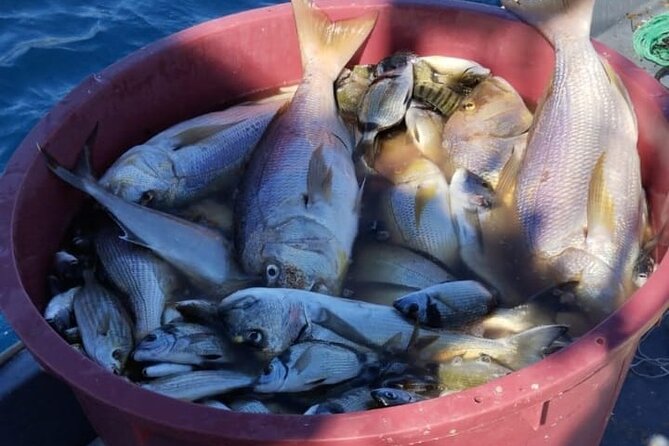 Traditional Mengo Fishing & fish picnic Hvar - Key things to know before you go