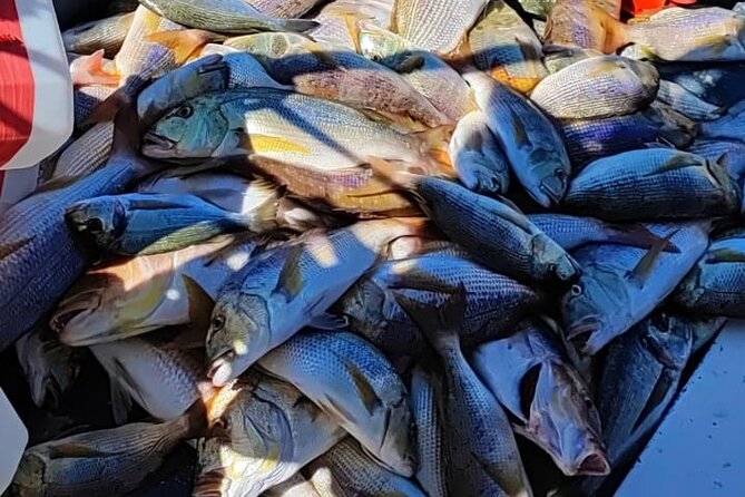 Traditional Mengo Fishing & fish picnic Hvar - Seeing a century-old fishing method in action
