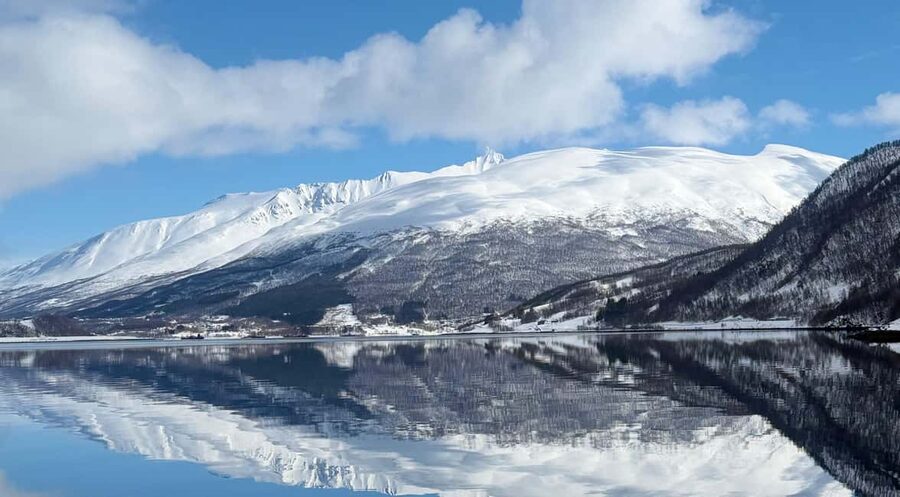 Tromsø: Arctic Fjord Cruise & Fishing Experience - The boat, the cold, and the comfort