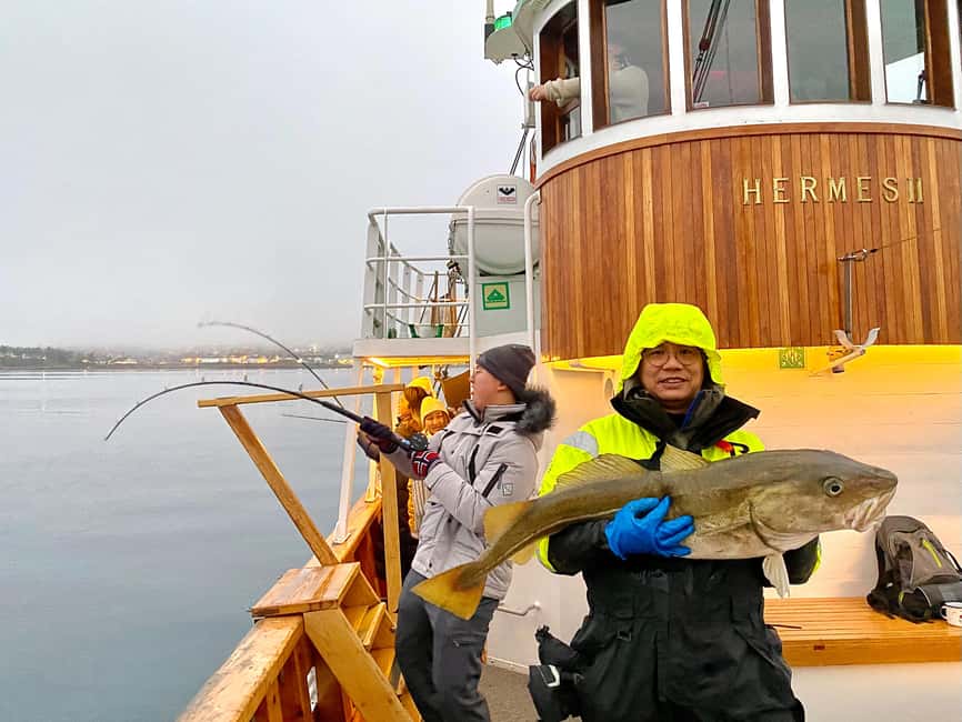 Tromsø: Fishing & Fjord Cruise - Fishing with five rods in rotation