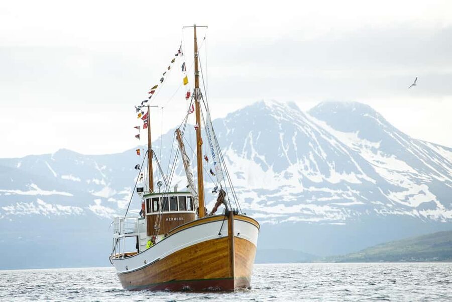 Tromsø: Fishing & Fjord Cruise - Eating your catch aboard the boat