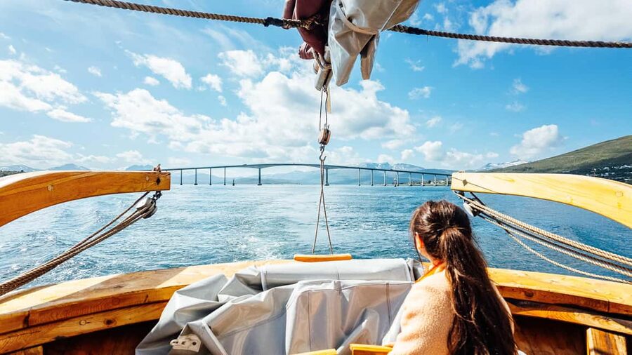 Tromsø: Fishing & Fjord Cruise - Wildlife, fjords, and the quiet stretches