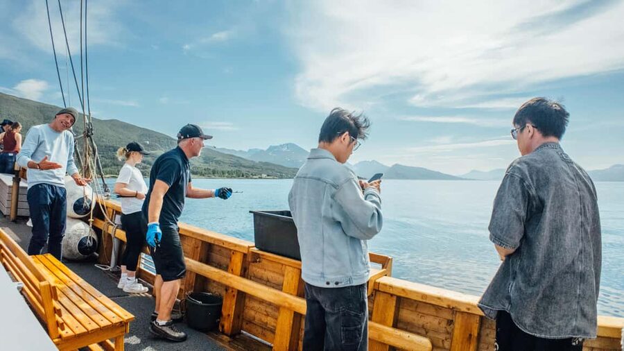 Tromsø: Fishing & Fjord Cruise - Is $198 good value?