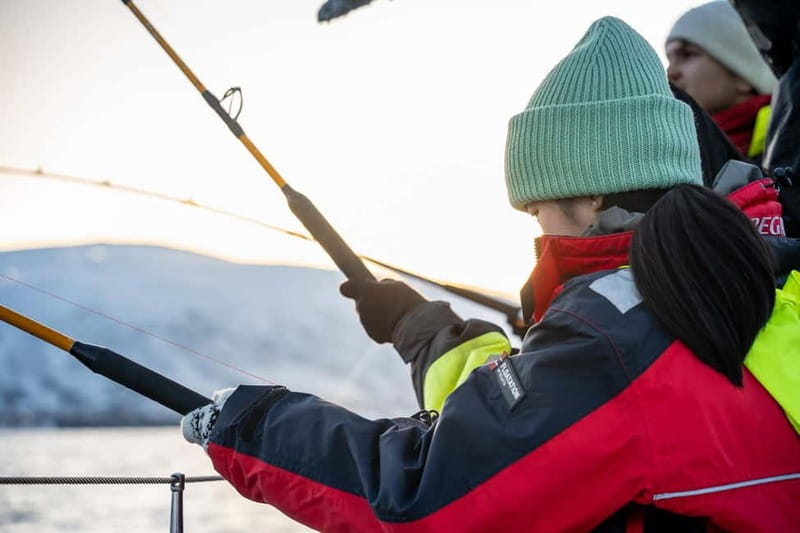 Tromsø: Fishing Sea Safari - Five things to know before you book