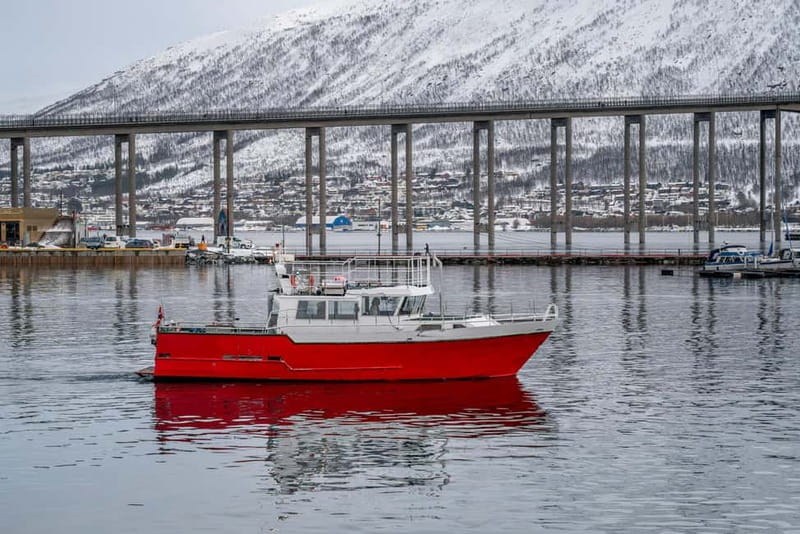 Tromsø: Fishing Sea Safari - Starting in central Tromsø at Storgata 88